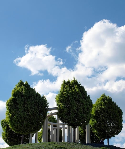 White House Climate Strategy: Key Highlights and New Initiatives - Cover Image